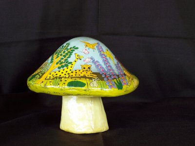 Another view of the mushroom.