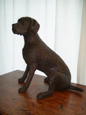 "Lester -  German Short-haired Pointer" by Diane Grey