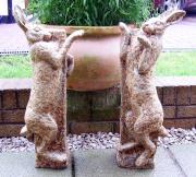 Pair of Brown Hares Boxing by Diane Grey