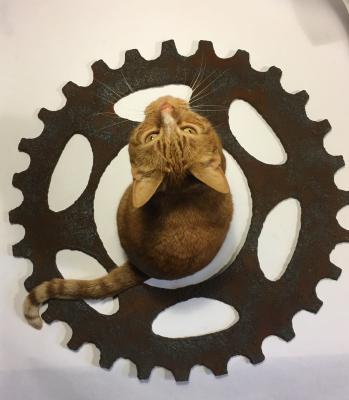 ""Rusty" bicycle sprocket." by Richard Will