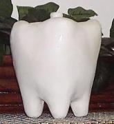 Tooth -Shaped Sweets Jar with Lid by Tammy Wilson