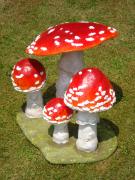 Fungi by Jackie Hall