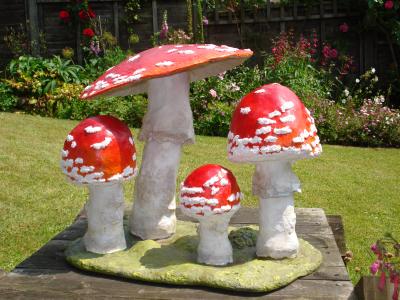 "Fungi" by Jackie Hall