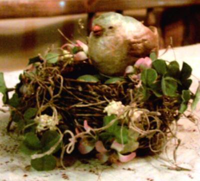 "bird and nest" by Mary Cassarino