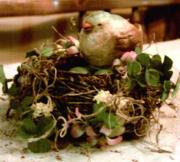 bird and nest by Mary Cassarino
