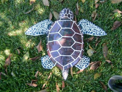 "Top View of Sea Turtle" by Diane Sarracino