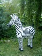 Trojan Zebra by Diane Sarracino