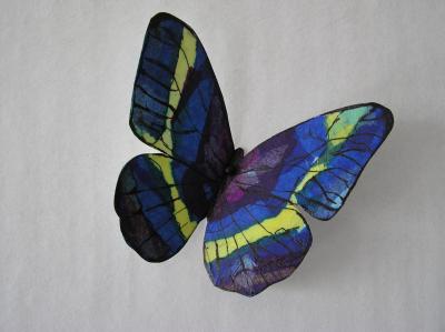 "butterfly" by Susan Oldfield