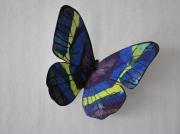 butterfly by Susan Oldfield