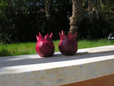 "pomergranates" by Rhonda Shema