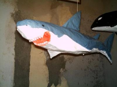 "Shark" by Thiago Rondini
