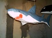 Shark by Thiago Rondini