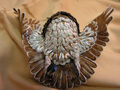 "Little Horned Owl-belly" by Scylla Earls