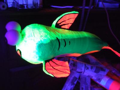 "glow fish" by Geraint Rees