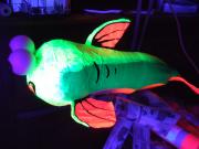 glow fish by Geraint Rees
