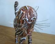 Brown cat by Karen Boyhen