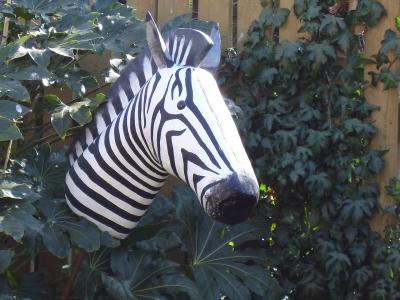 "Zebra" by Nicky Clacy