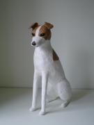Jack Russell (3) by Nicky Clacy