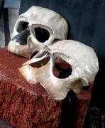 Skull Masks by Meg Lemieur