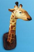 Giraffe by Meg Lemieur