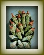 Paper mache on pine cones. by Connie Jean Vanmatre