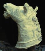 Horse Head #2 of 6 (Click for details) by Patience