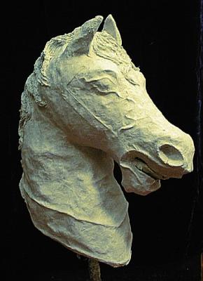 "Horse Head #6 of 6 (Click for details)" by Patience