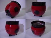 Ladybird Bowl by Alasdair Martin