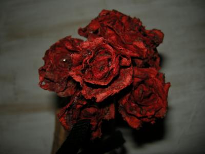 "Red Roses" by Helen Hew