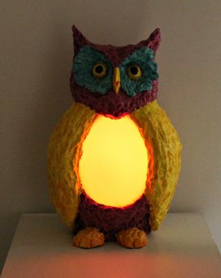 "Colorful Owl with light on" by Philip Bell