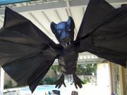 Bat by Loretta Nel