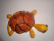 turtle... by Prasun Roy
