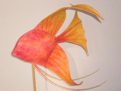 "angel fish" by Georgia Tsekoura
