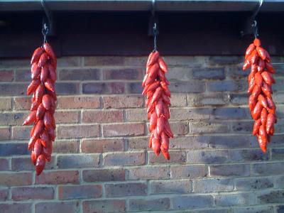 "chilli ristras (another view)" by Richard Erbe