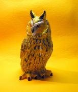 eared Owl by Rok Jursic