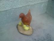 Chicken with chicks by Rok Jursic