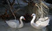 Limited Edition Swan Ornaments by Sarah Hage