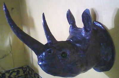 "Rhino" by Selim Turkoglu