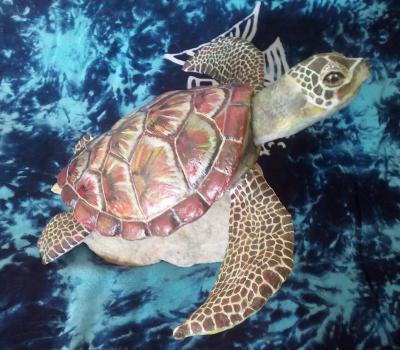 "Sea turtle" by Eva Goldman