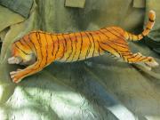 Tiger by Eva Goldman