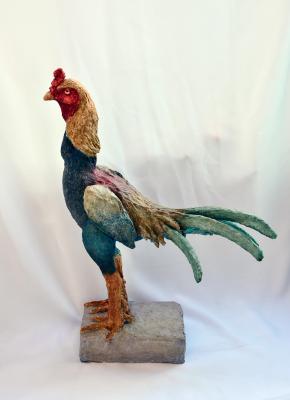 "YOUNG FIGHTING ROOSTER" by Claudio Barake