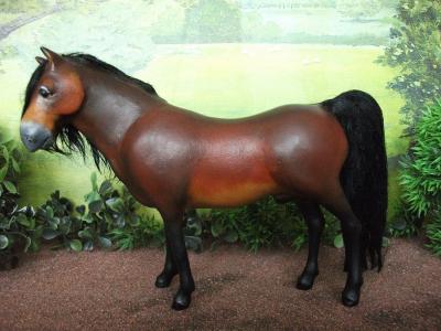 "Exmoor pony" by Tania Wood