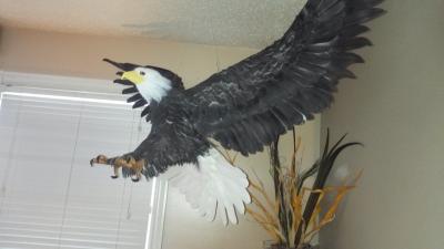 "Eagle" by Nancy Arsenault