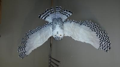 "snowy owl" by Nancy Arsenault