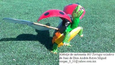 "Tortuga voladora" by Juan de Dios Andrés Reyes Miguel