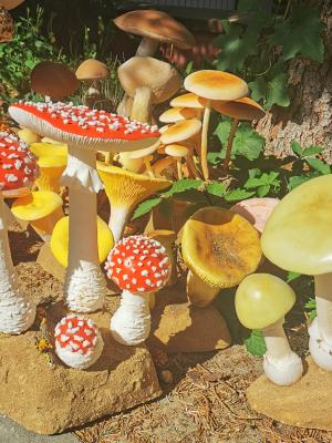 "Mushrooms" by Dorota Piotrowiak