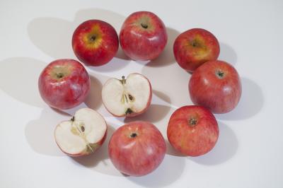 "apple: Ilzer Rosenapfel" by Dorota Piotrowiak