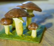 slippery jack mushroom by Dorota Piotrowiak