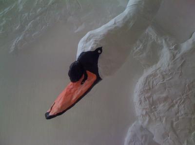 "Swan Landing - close up" by Jo Muncaster