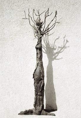 "Tree of Life" by Zeevic